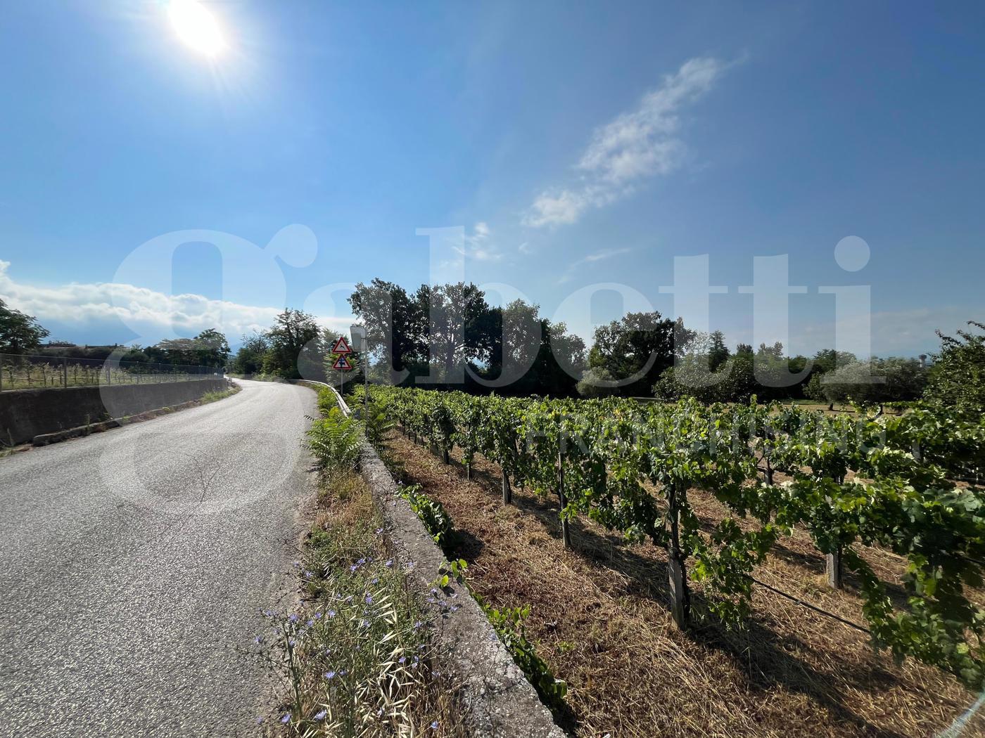 Terreno Agricolo in vendita a Alife