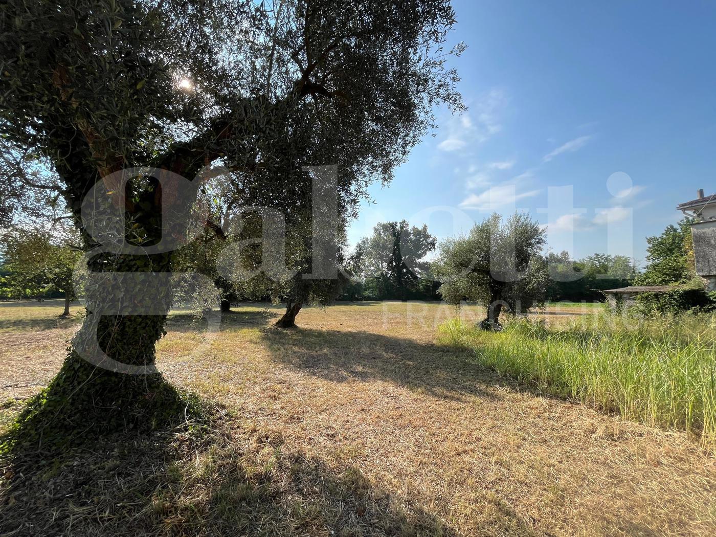 Terreno Agricolo in vendita a Alife