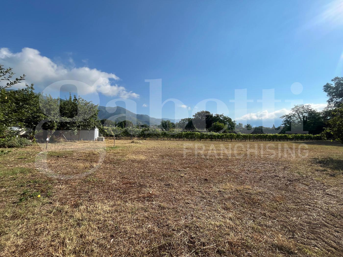 Terreno Agricolo in vendita a Alife