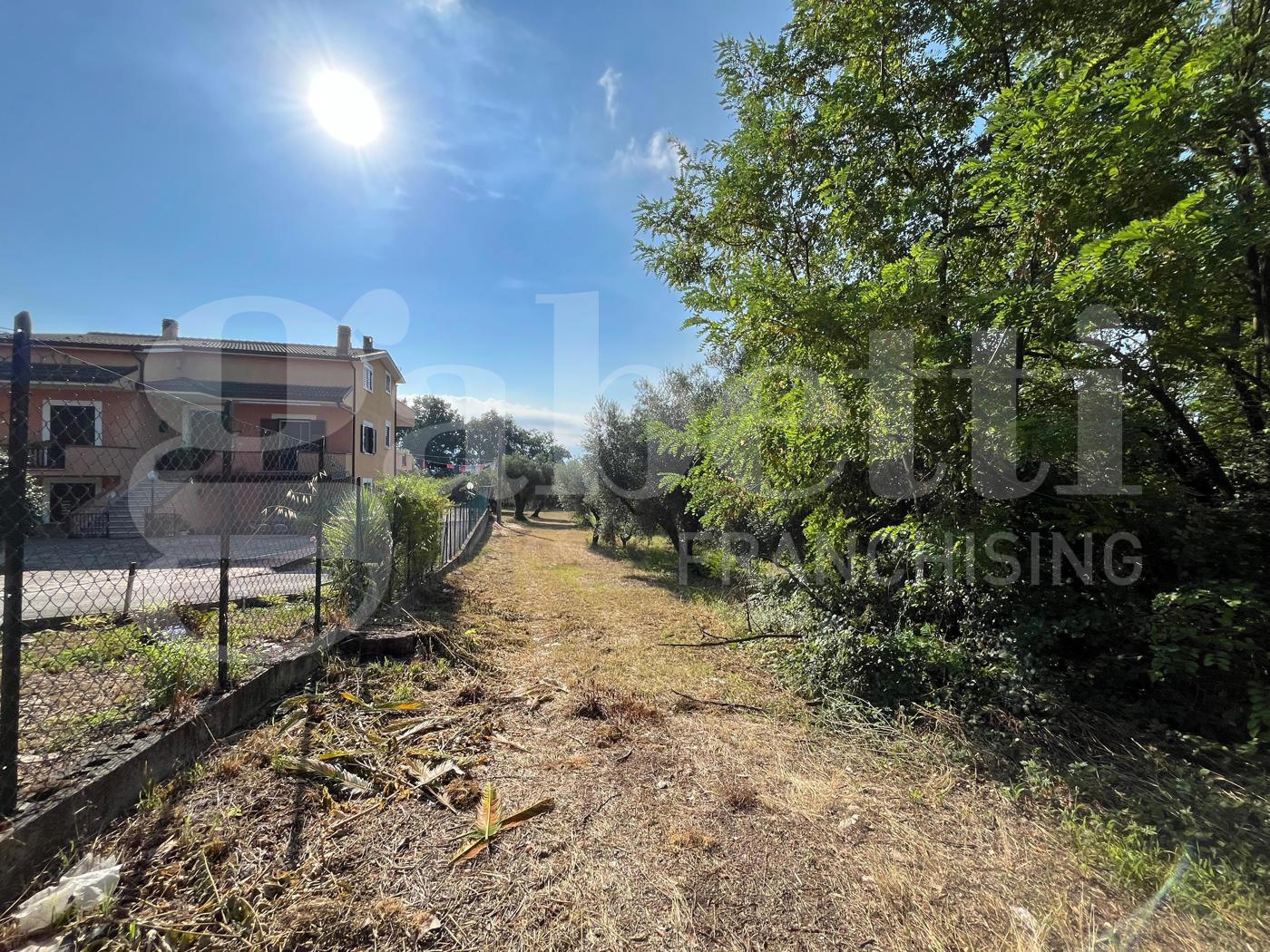 Terreno Agricolo in vendita a Alife