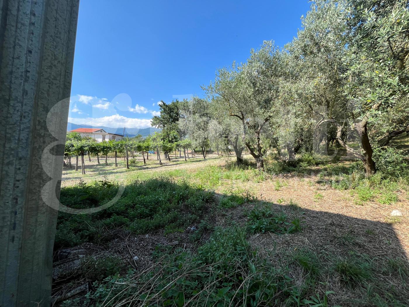 Rustico in vendita a Gioia Sannitica
