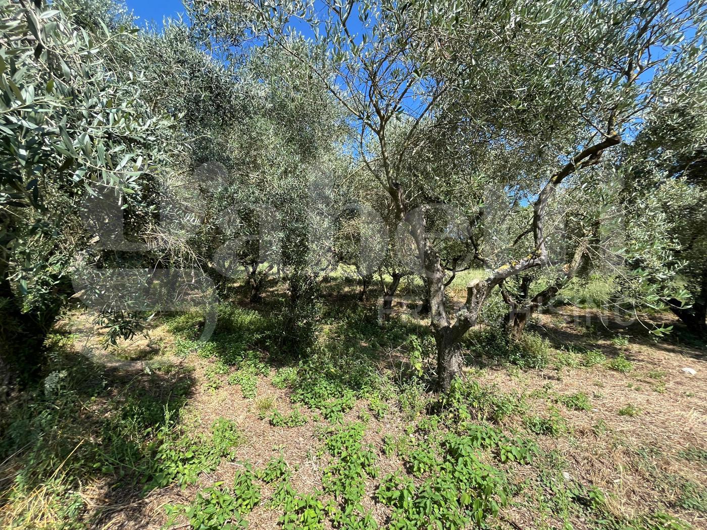Rustico in vendita a Gioia Sannitica