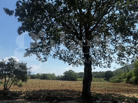 Casa indipendente con giardino a Baia e Latina