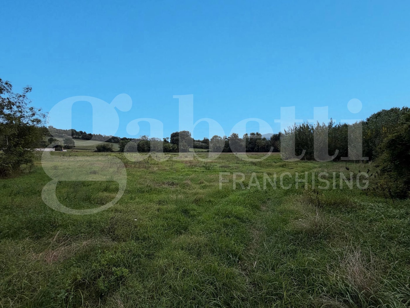 Terreno Agricolo in vendita a Alvignano
