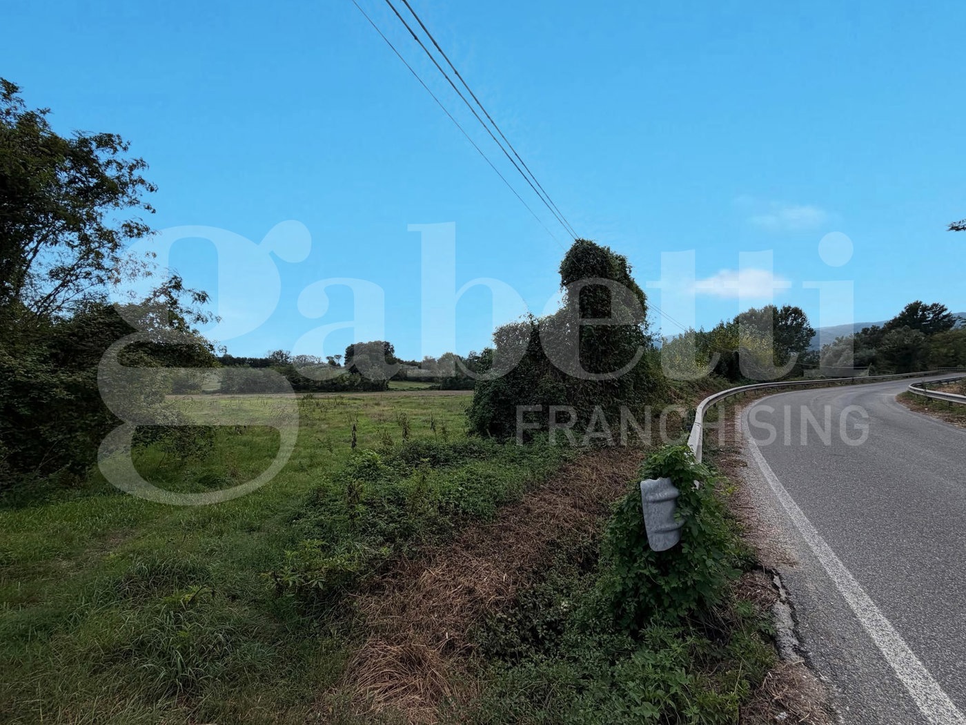 Terreno Agricolo in vendita a Alvignano