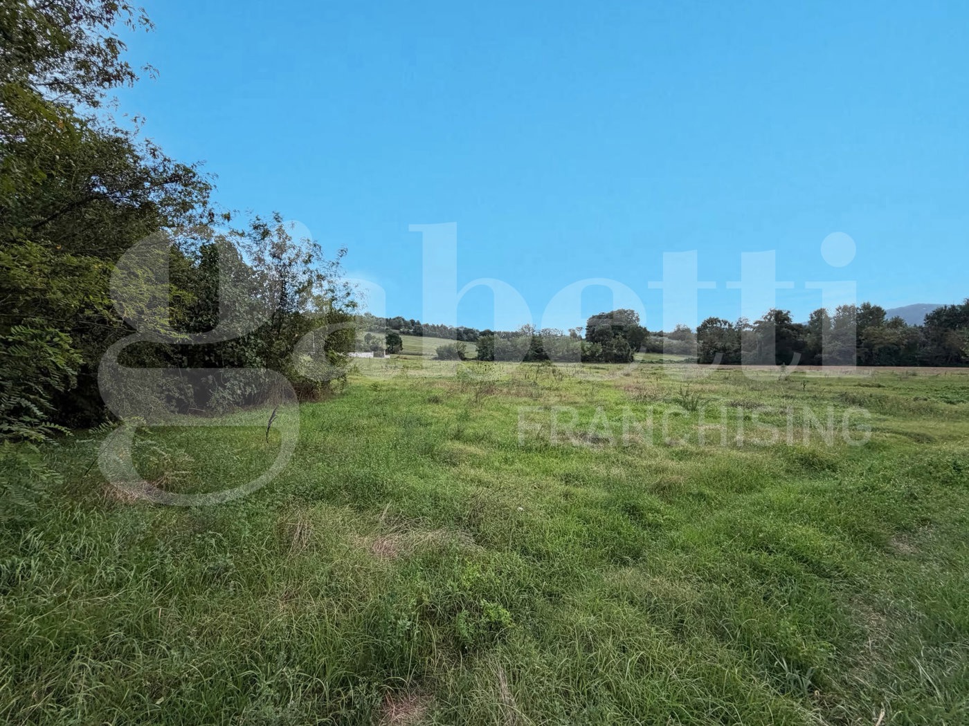 Terreno Agricolo in vendita a Alvignano