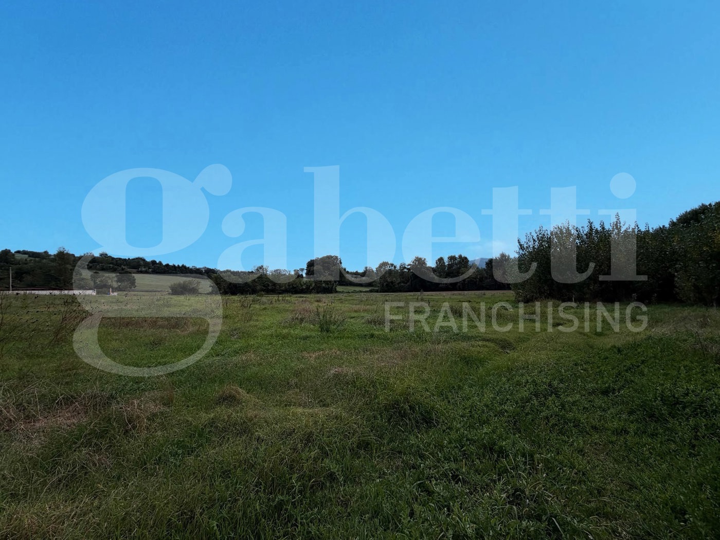Terreno Agricolo in vendita a Alvignano