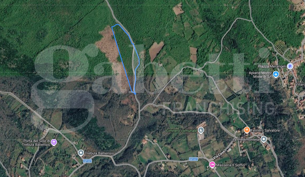 Terreno Agricolo in vendita a Liberi