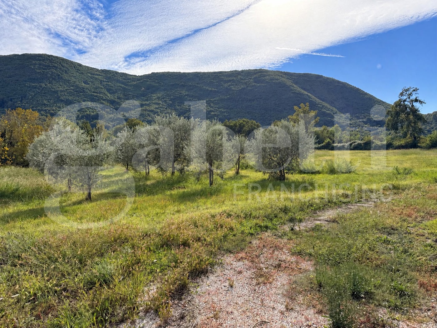 Terreno Agricolo in vendita a Baia e Latina