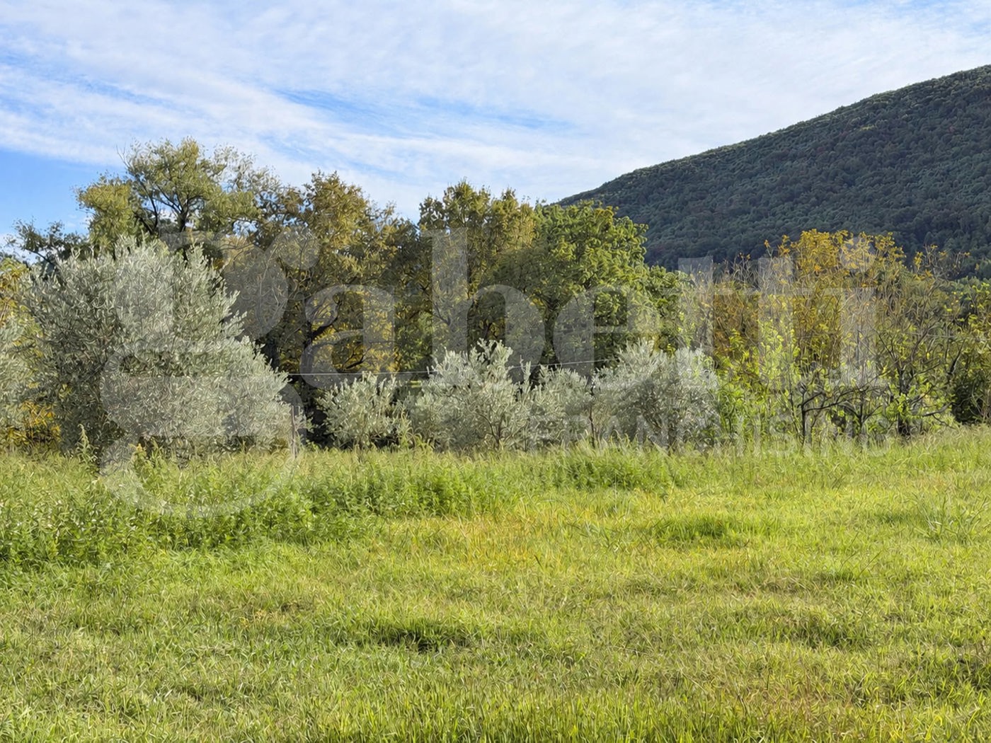 Terreno Agricolo in vendita a Baia e Latina