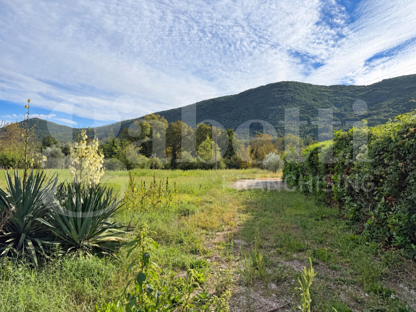 Terreno Agricolo in vendita a Baia e Latina