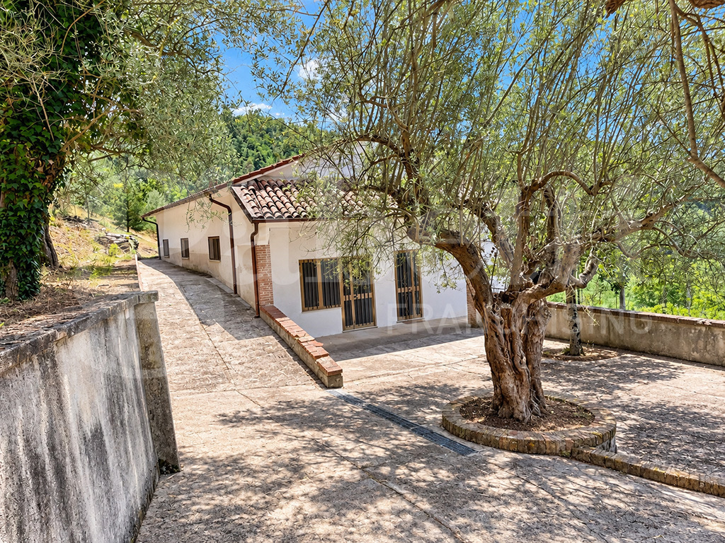 Casa indipendente con giardino a Raviscanina