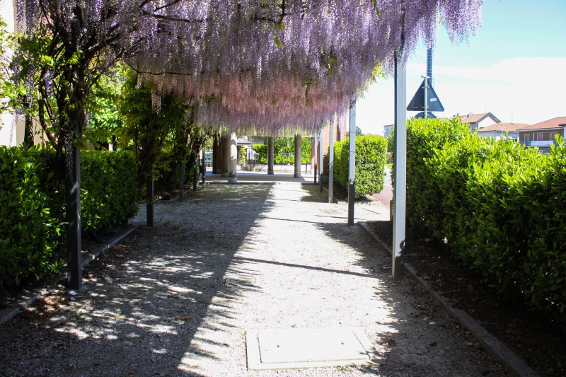 Trilocale con terrazzi a Cesano Maderno