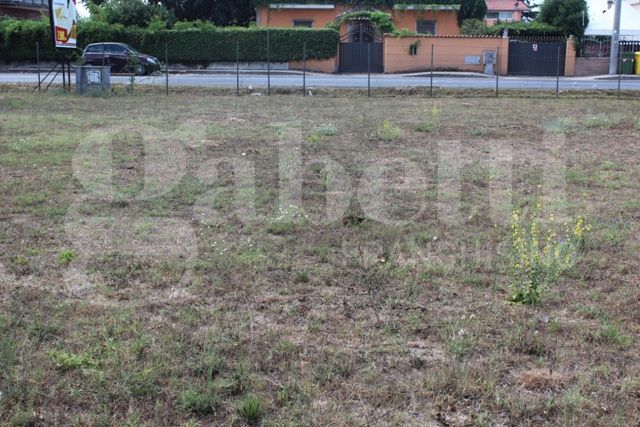 immagine annuncio 7 di 8