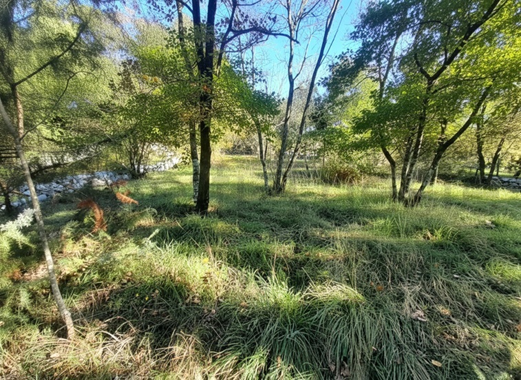 Terreno Agricolo in vendita a Sgonico