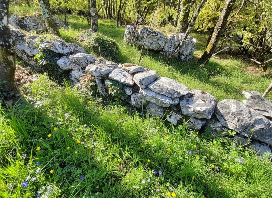 Terreno Agricolo in vendita a Sgonico