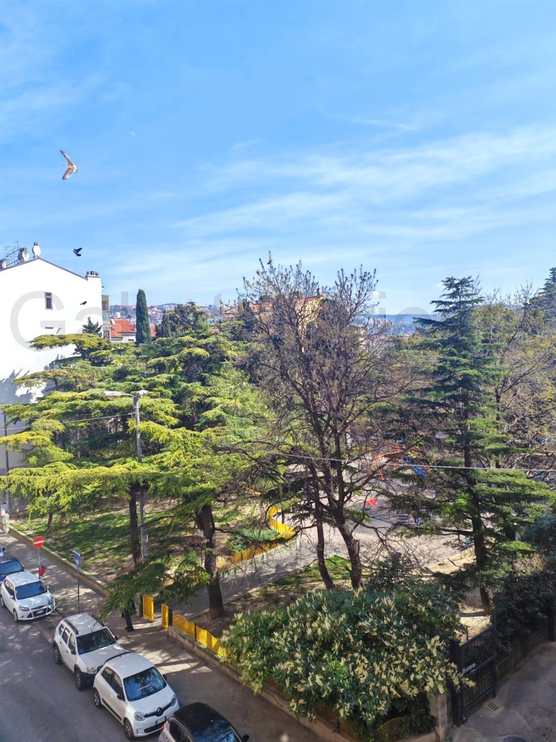 Bilocale in affitto a Trieste