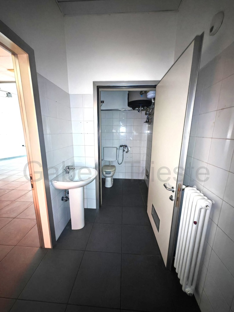 Negozio in affitto a Trieste