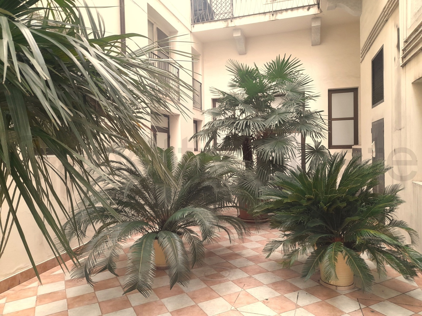 Bilocale arredato in affitto a Trieste