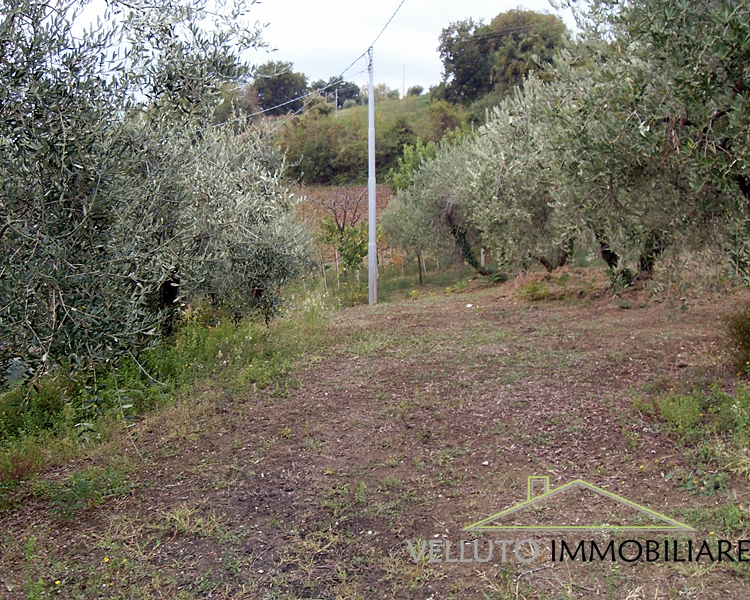 Casa singola in vendita a Senigallia, Zona Scapezzano