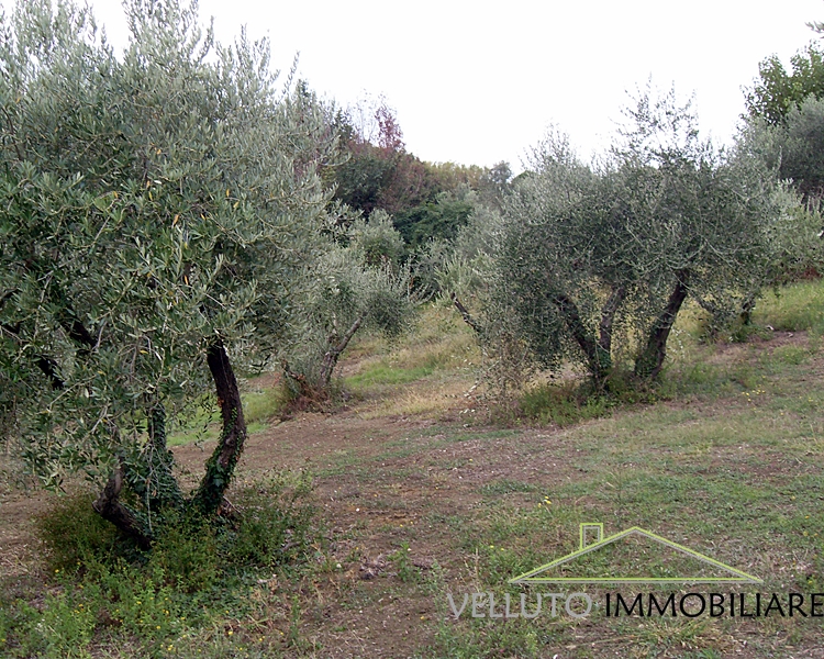 Casa singola in vendita a Senigallia, Zona Scapezzano