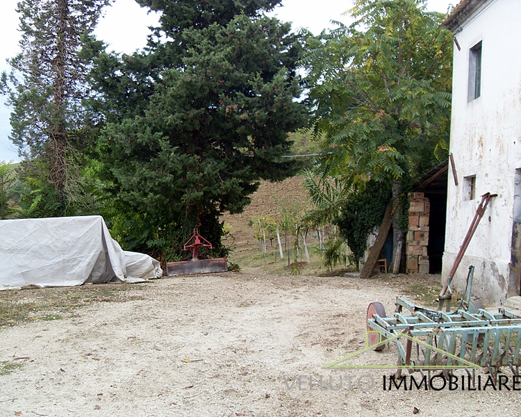 Casa singola in vendita a Senigallia, Zona Scapezzano