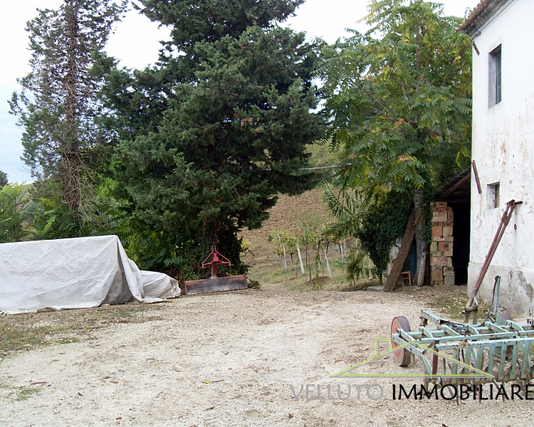 Casa singola in vendita a Senigallia, Zona Scapezzano