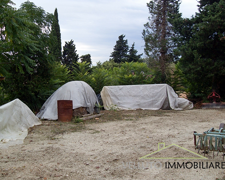 Casa singola in vendita a Senigallia, Zona Scapezzano