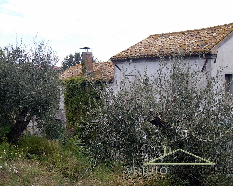 Casa singola in vendita a Senigallia, Zona Scapezzano