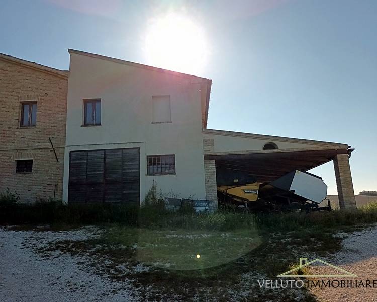 immagine annuncio 4 di 9