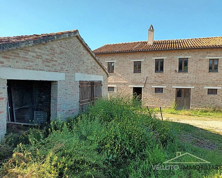 immagine annuncio 6 di 9