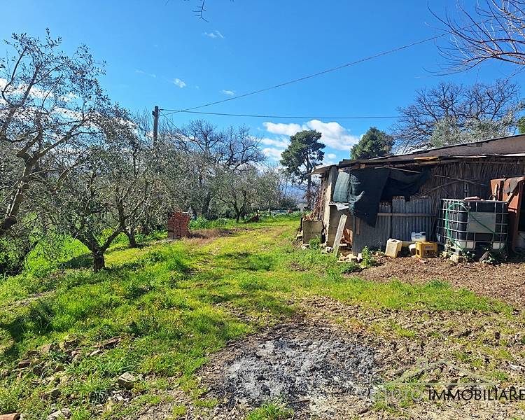 immagine annuncio 8 di 10