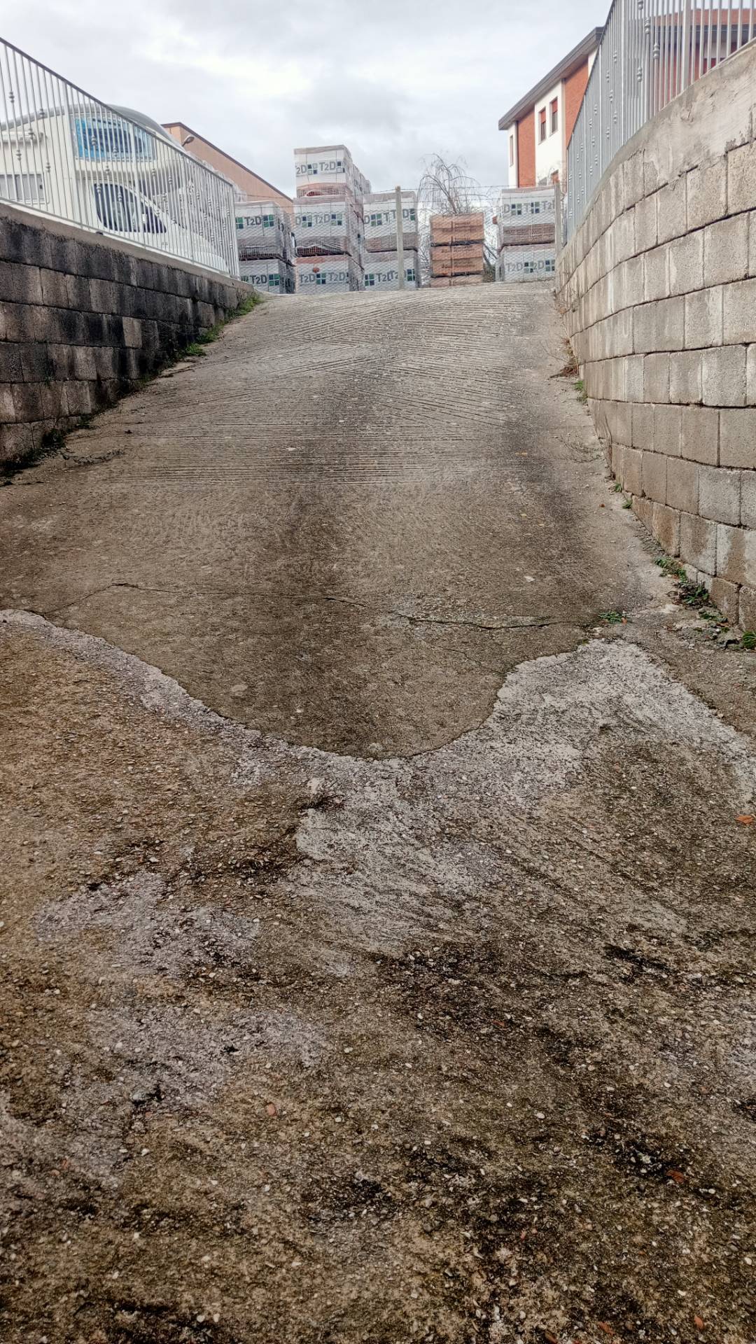 immagine annuncio 4 di 6