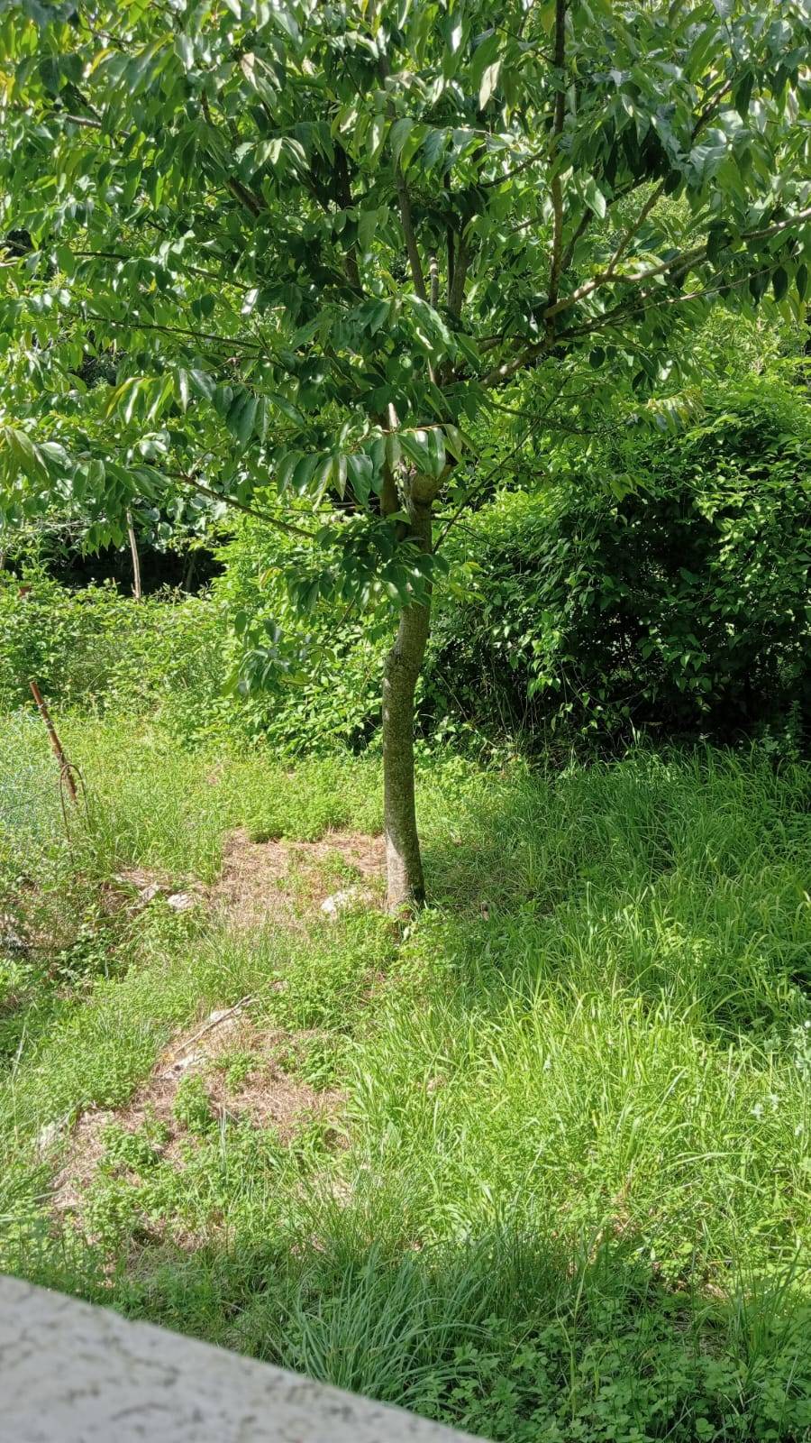 Casa singola in vendita a Sassoferrato, Frazioni Periferiche