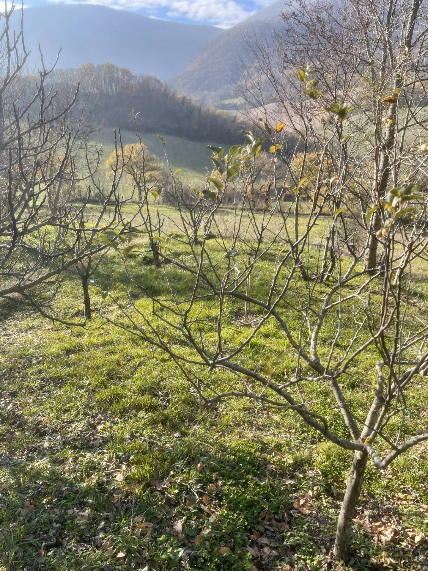 Villa in vendita a Fabriano