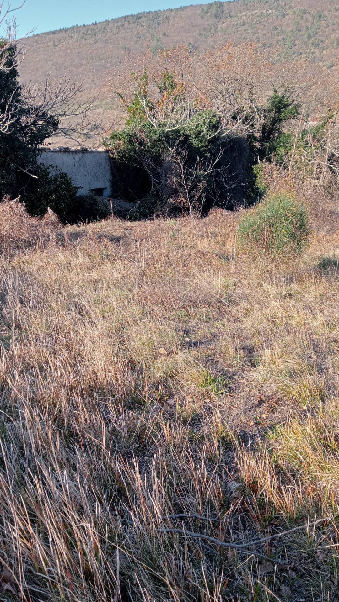 Terreno Agricolo in vendita a Genga