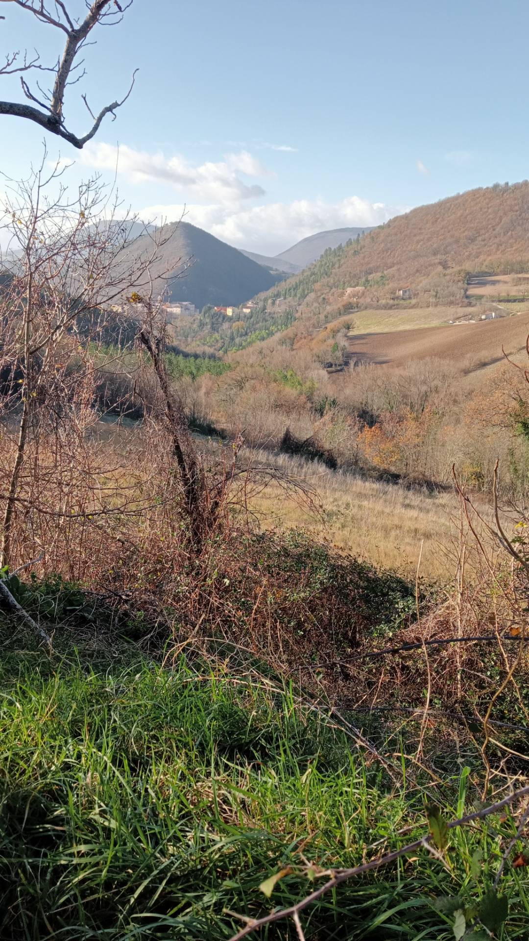 Terreno Agricolo in vendita a Genga