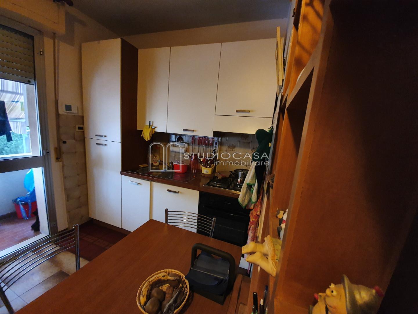 Bilocale arredato in affitto, Pisa nova