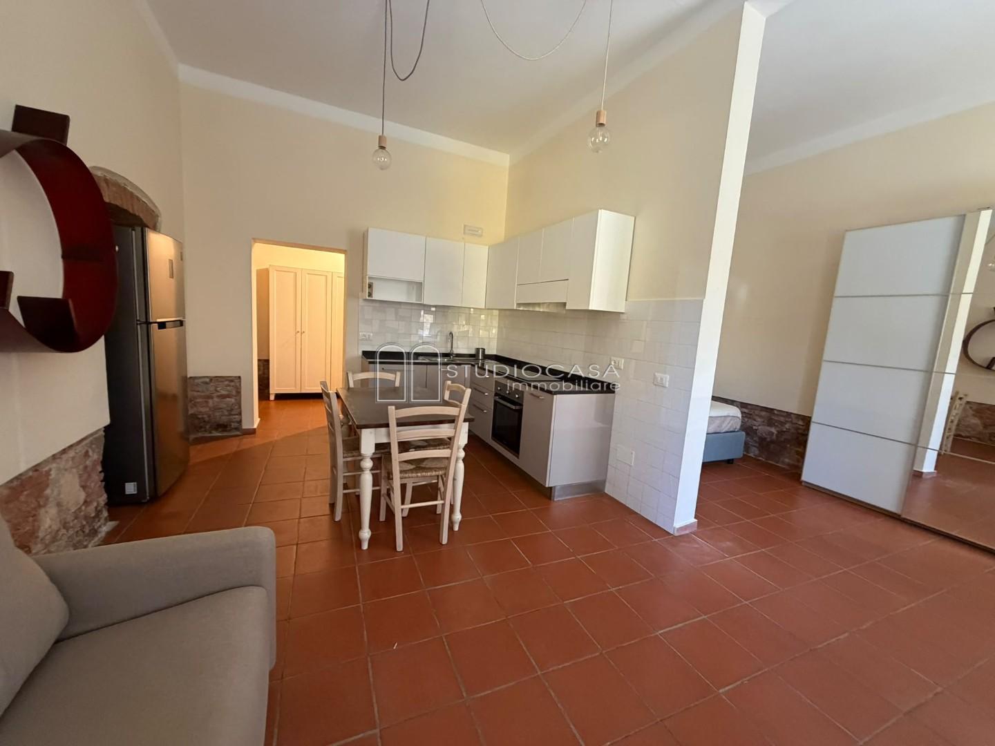 Loft arredato in affitto, Pisa san michele