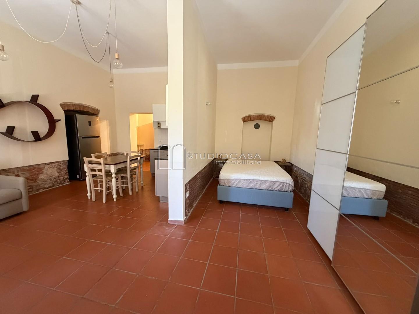 Loft arredato in affitto, Pisa san michele