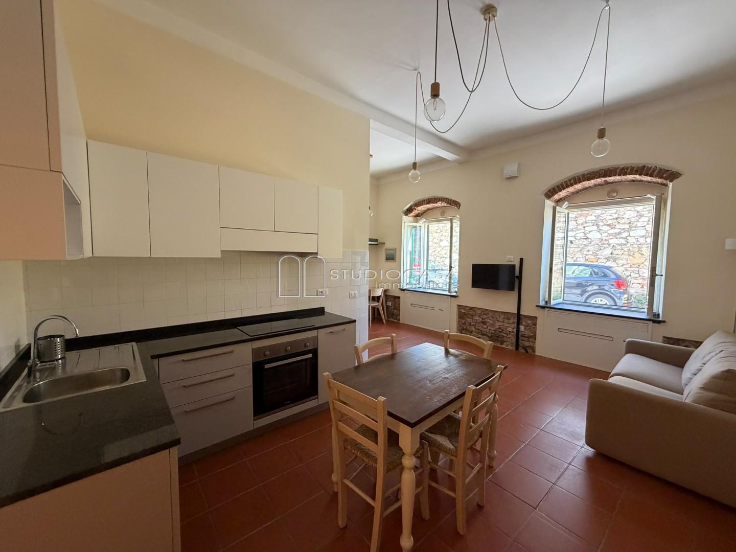 Loft arredato in affitto, Pisa san michele