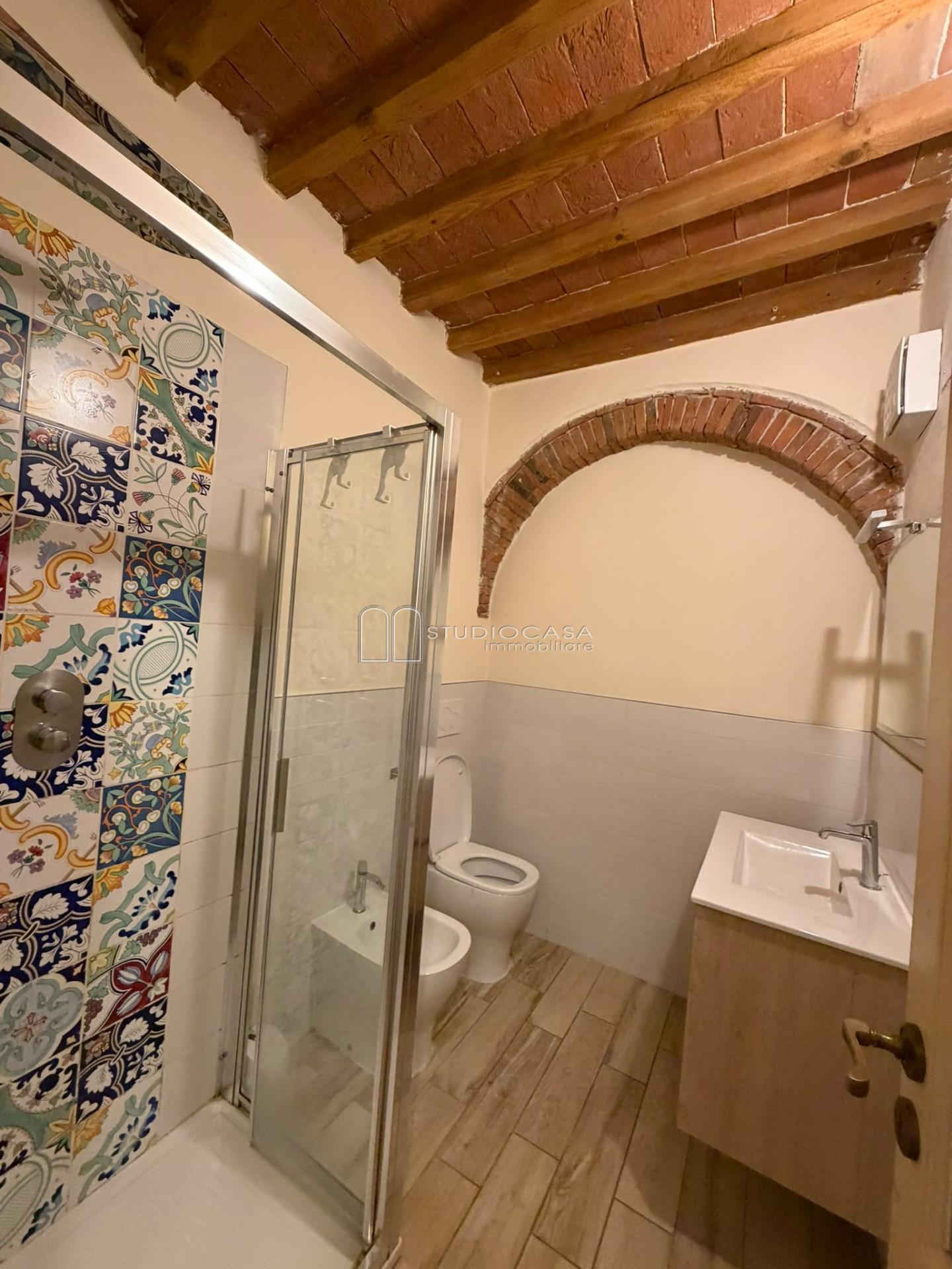 Loft arredato in affitto, Pisa san michele
