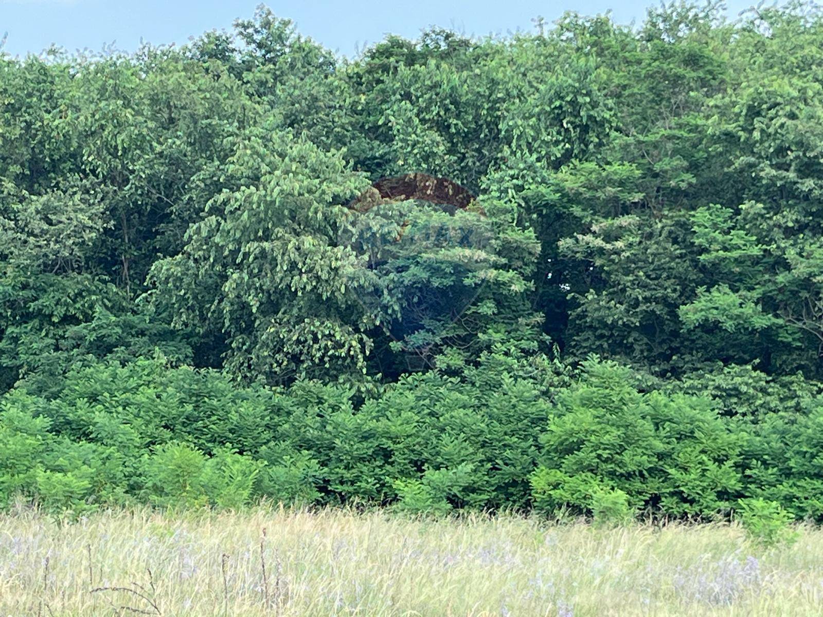 Terreno in vendita a Turbigo