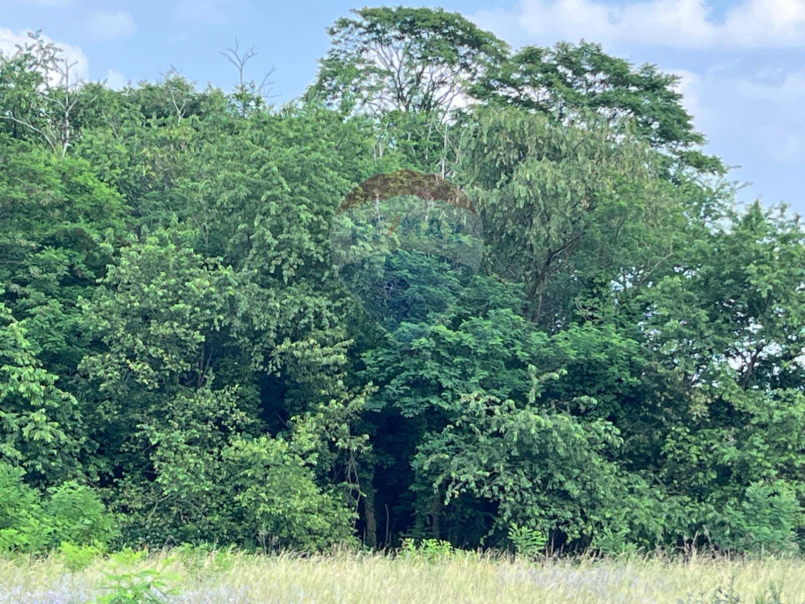 Terreno in vendita a Turbigo