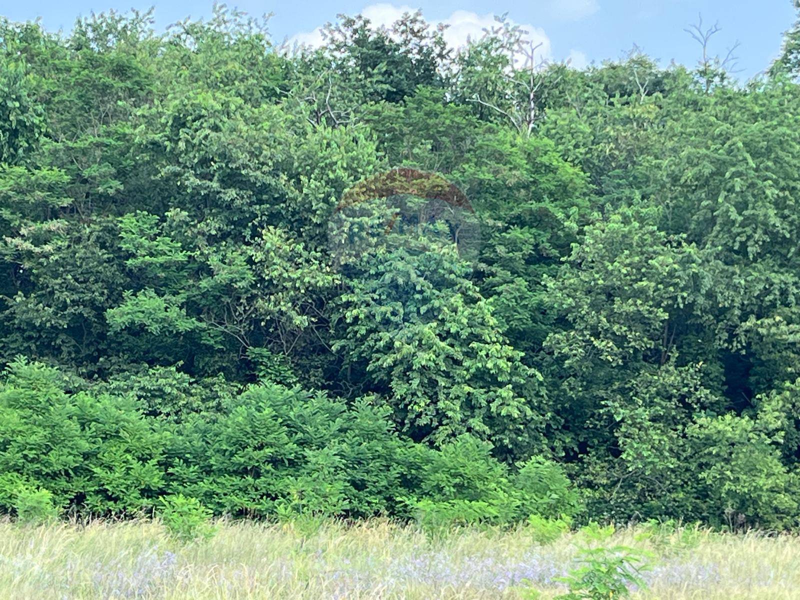 Terreno in vendita a Turbigo