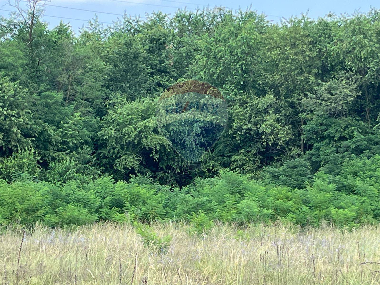 Terreno in vendita a Turbigo