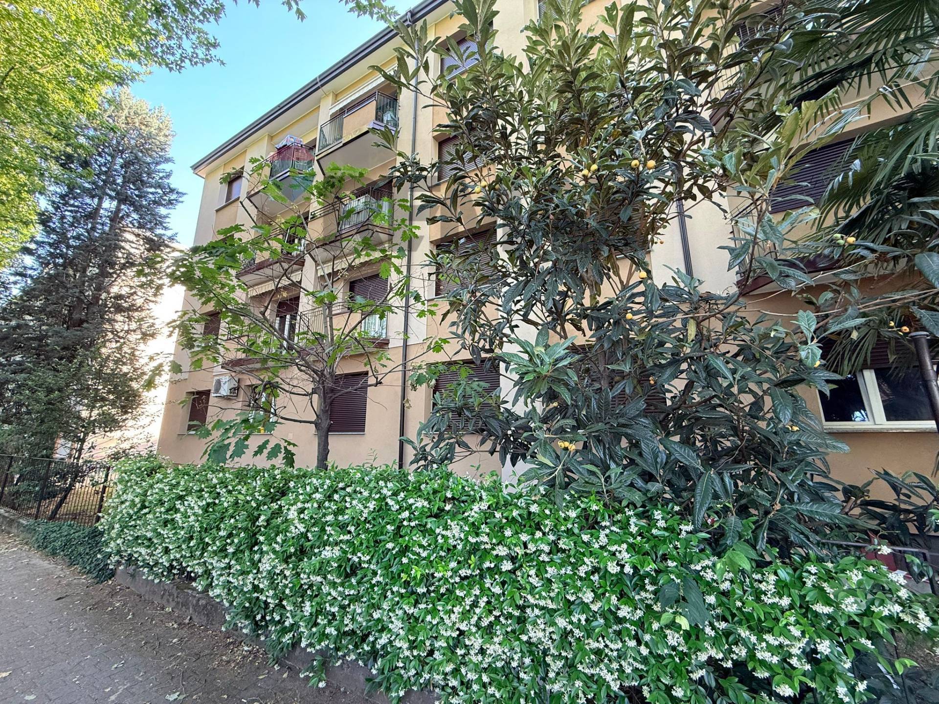 Appartamento in affitto a Legnano, Ospedale