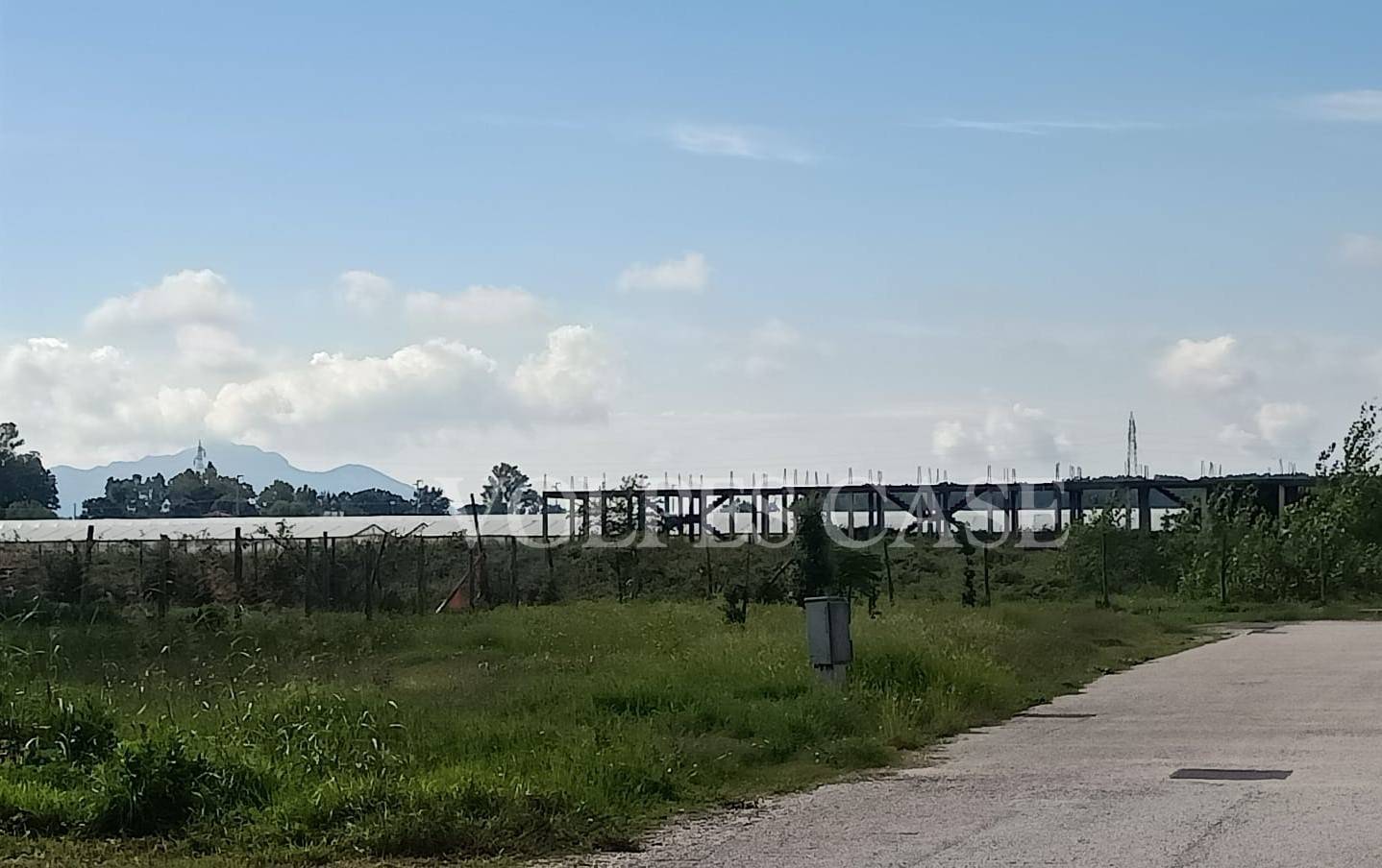 immagine annuncio 3 di 4