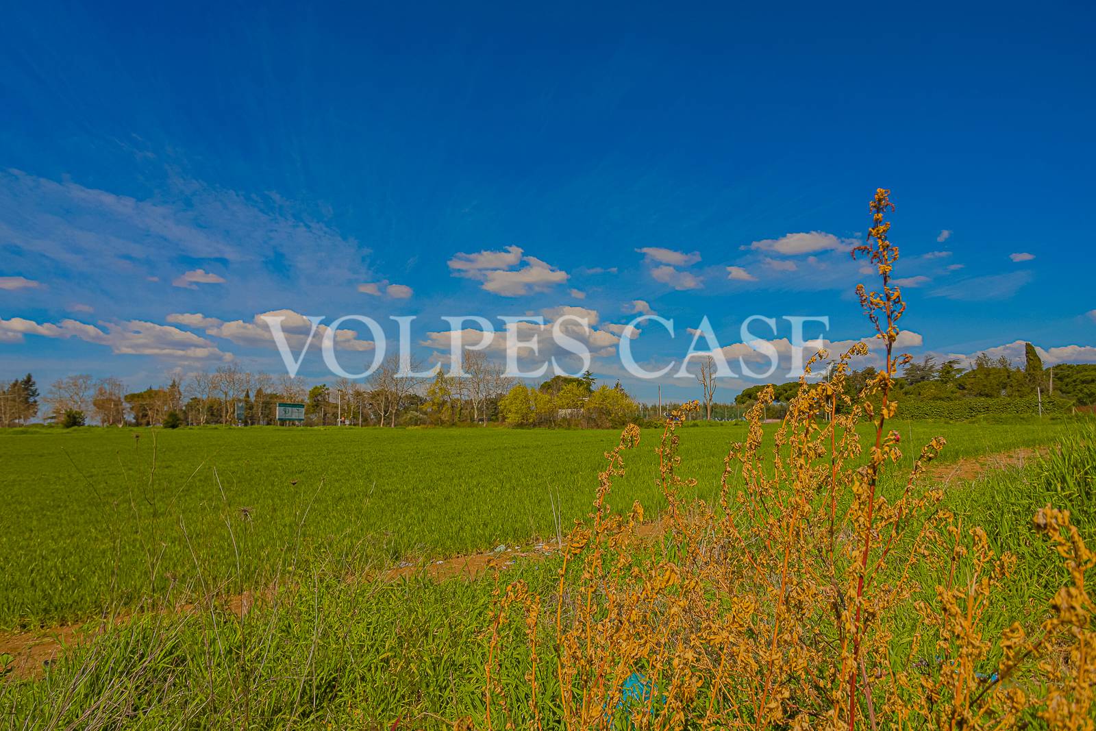 Villa trifamiliare in affitto a Roma, Prato Lauro