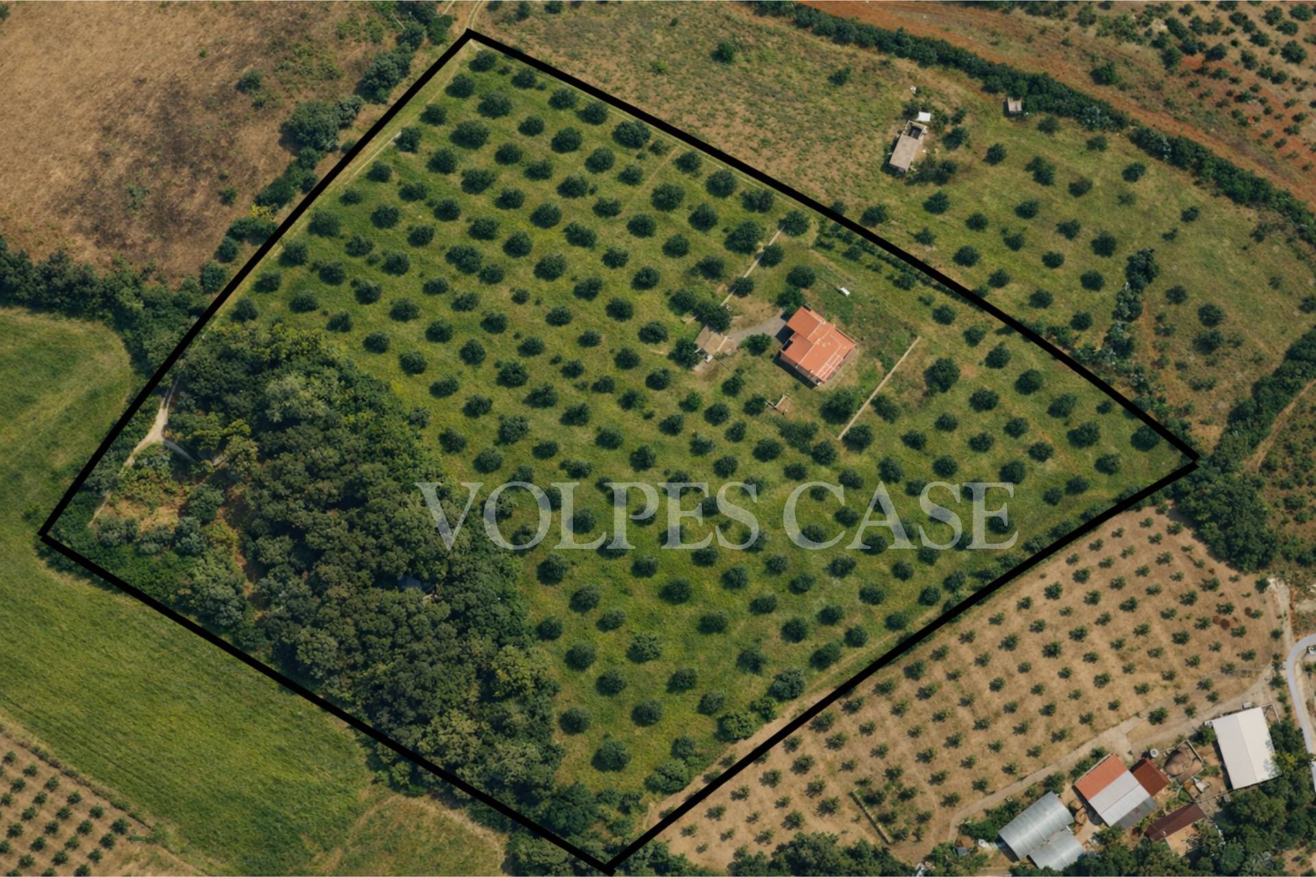 Villa in vendita a Villapiana, Rossi